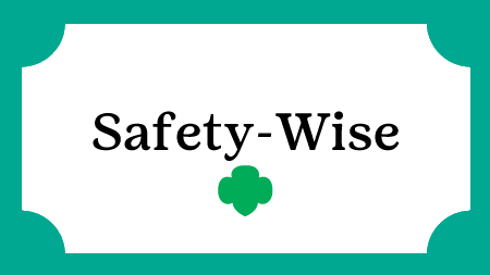 SafetyWiseCourseBanner.fw.png