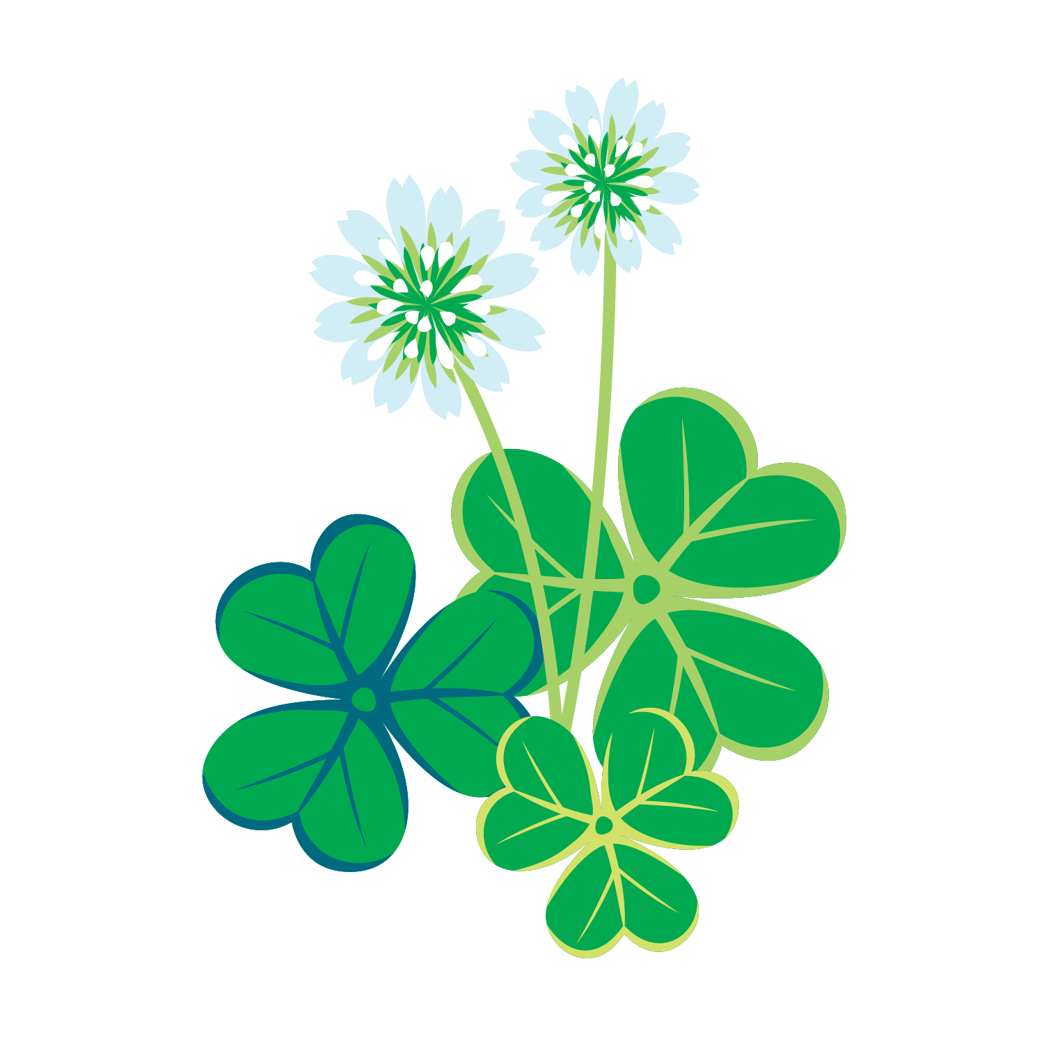 Clip art of a flowers