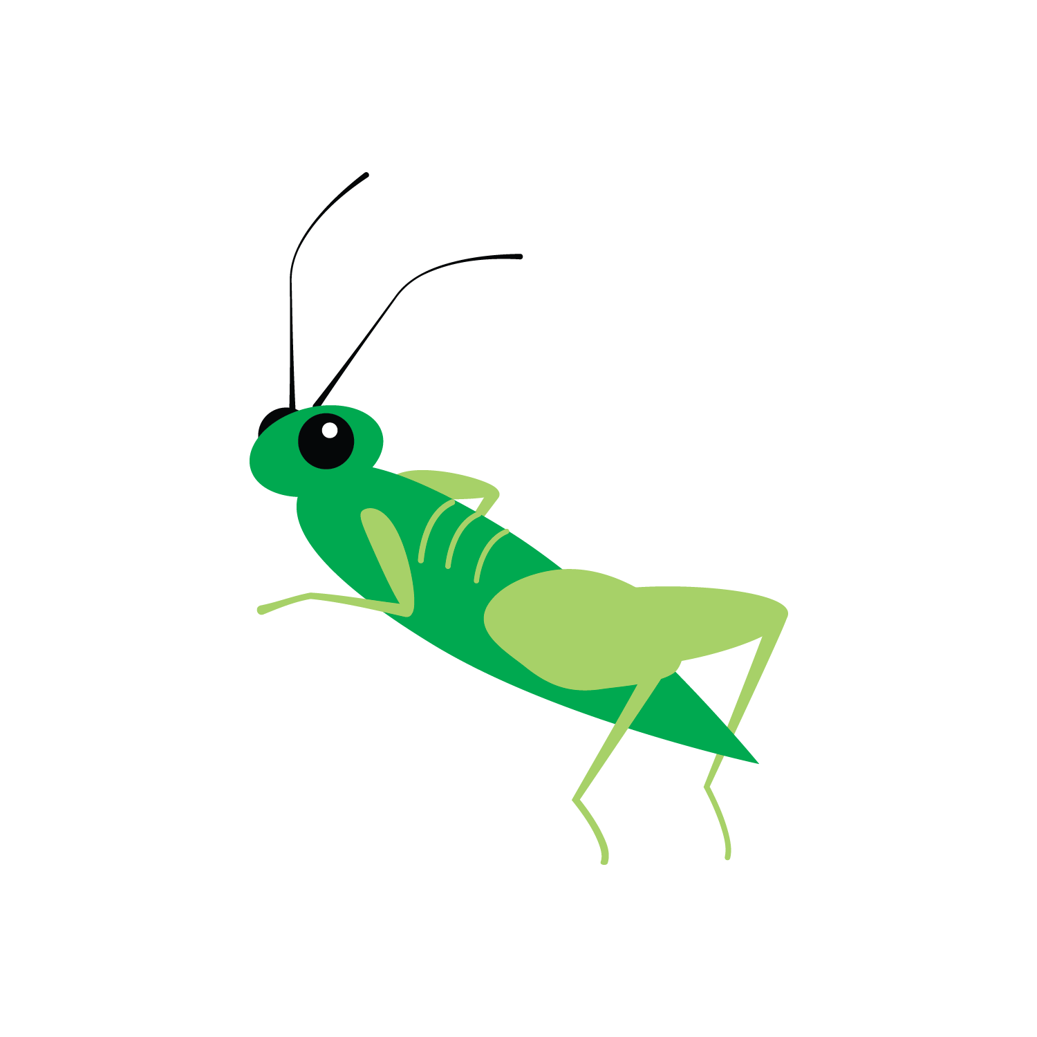 Clip art of a grasshopper
